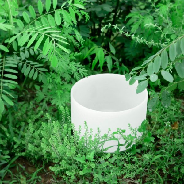 TOPFUND Crystal Singing Bowl F Note Heart Chakra 10 inch O- ring and Suede Striker included - Image 2