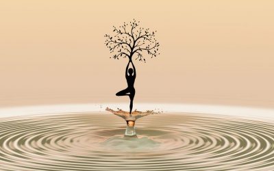 What Does Meditation Mean?