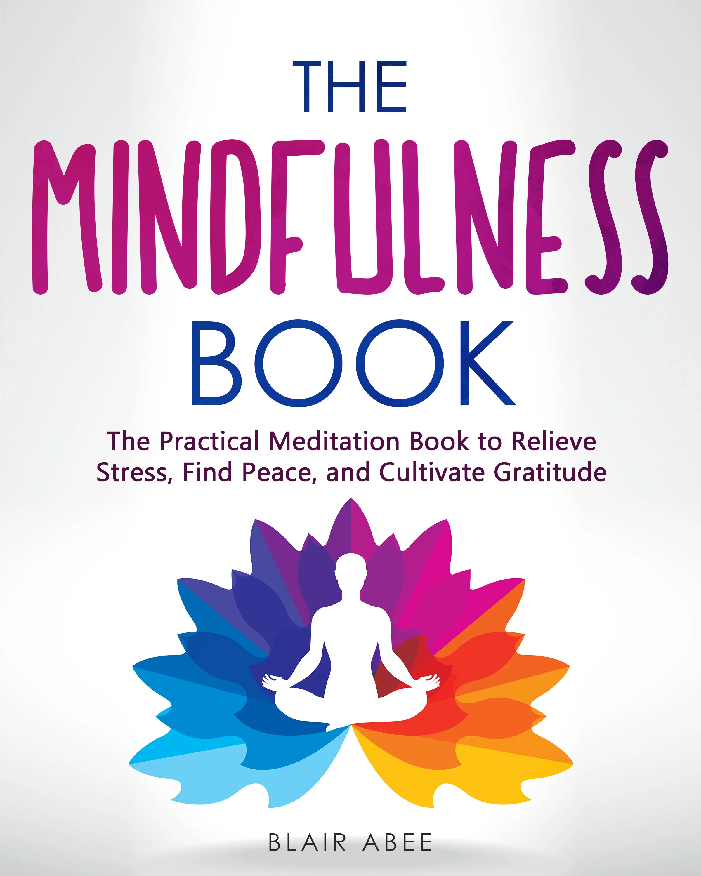 Cover of The Mindfulness Book